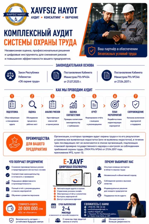 Инфографика: комплексный аудит системы охраны труда — стоимость, сроки, законодательная основа